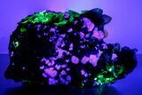Apple-Green Fluorite Crystals with Smoky Quartz - Fluorescent! #348144-6